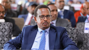 Somalia State Minister Reportedly Denied Entry Into Kenya, Deported From JKIA.